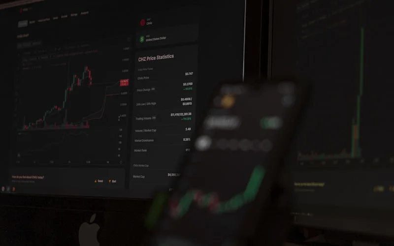 Screenshot of historical balance trends graph